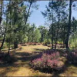 Au Clair Des Landes