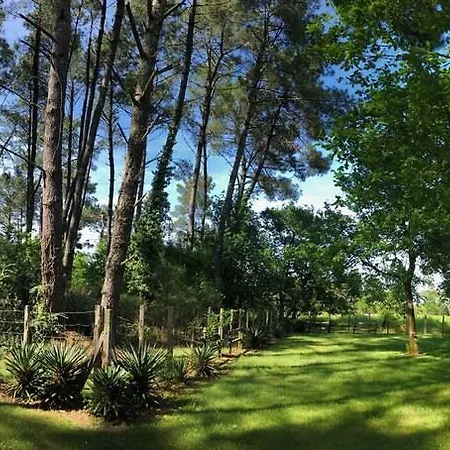 Au Clair Des Landes B&B 카스테츠