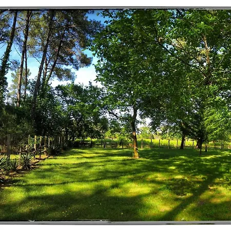 Au Clair Des Landes Castets