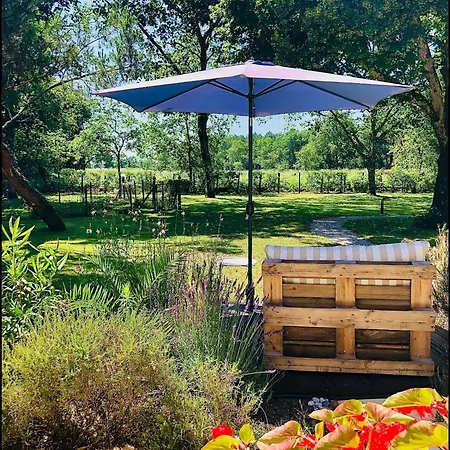 Au Clair Des Landes 3* Castets