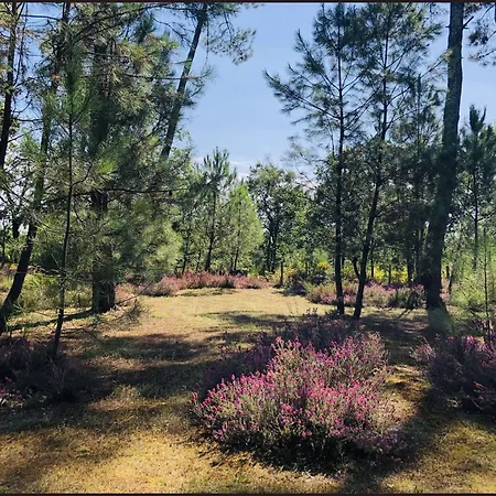 Au Clair Des Landes