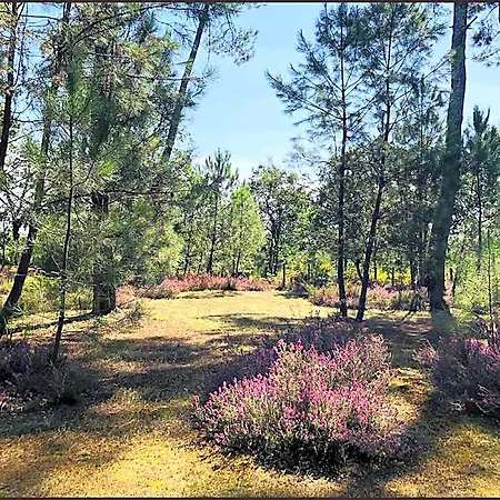 Bed & Breakfast Au Clair Des Landes 3*