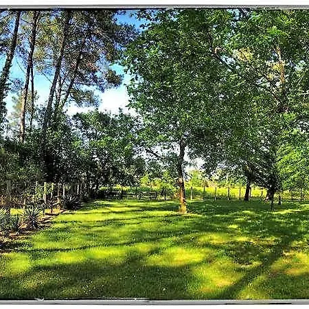 Au Clair Des Landes