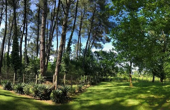 Au Clair Des Landes B&B 카스테츠