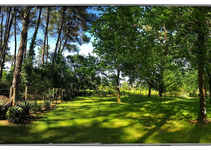 Au Clair Des Landes 카스테츠