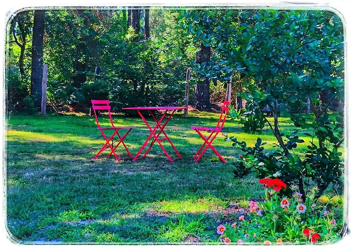 Au Clair Des Landes B&B